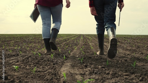 Fotografiet rubber boots dust, corn field, farm business teamwork, sprout fresh harvest fiel