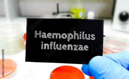 Haemophilus influenzae bacteria. medical and healthcare conceptual image. photo