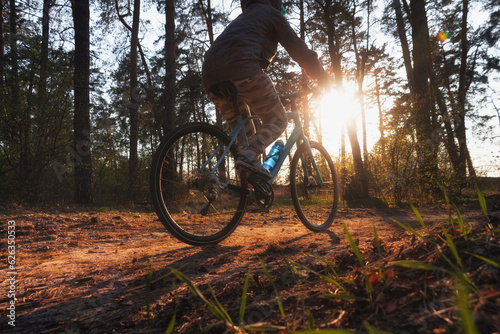 Girl on a bicycle rides along the path in the autumn forest at sunset. Low angle view. Active leisure concept.