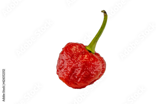 Pimenta vermelha trindad moruga da espécie Capsicum chinense natural da vila de Moruga em Trinidad e Tobago. É uma das pimentas mais picantes do mundo