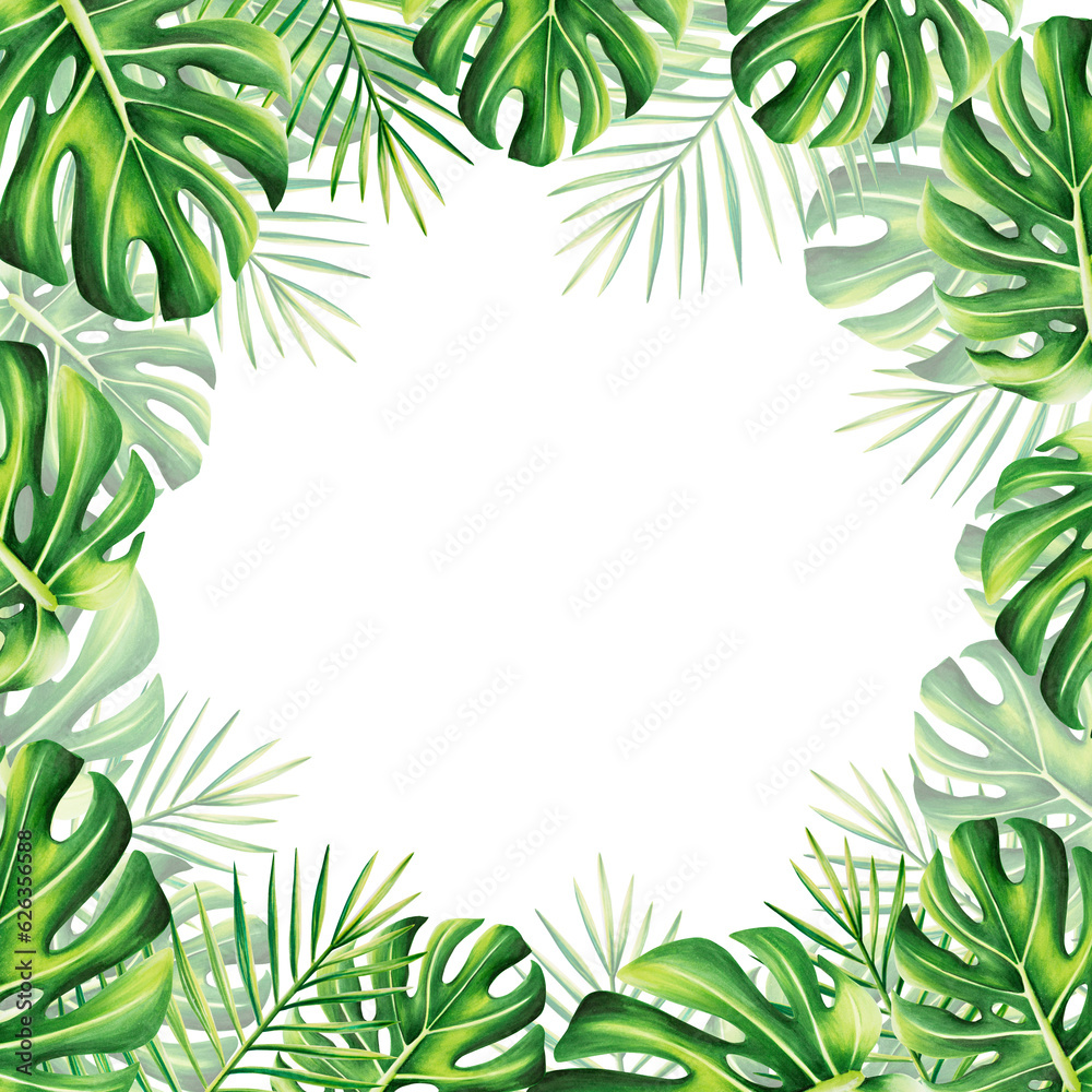 Watercolor frame with realistic tropical illustration of monstera and palm isolated on white background. Beautiful botanical hand painted floral elements. For designers, spa decoration, postcards