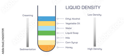 The Density of Liquids vector illustration. Creaming and sedimentation. Liquid and solution has own characteristic density. General physics for students and teachers. Physics study material images.