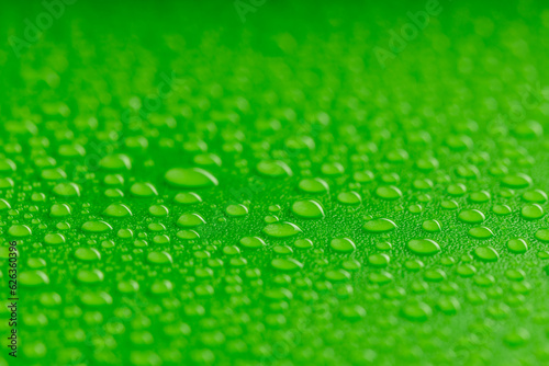 a real photo of water droplets with a small depth of field