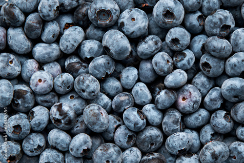 Background from fresh blueberries. Blueberry texture top view.