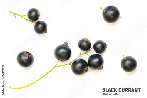 Black currants berry isolated on white background