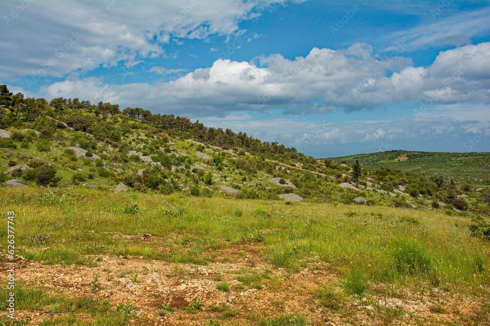The rural landscape near Dracevica on Brac Island in Croatia in May. The island's characteristic stone mounds and walls can be seen
