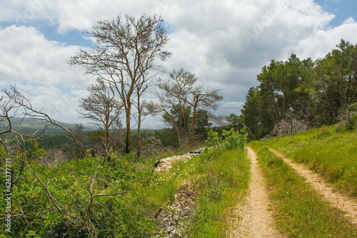 The rural landscape near Milna on Brac Island in Croatia in May