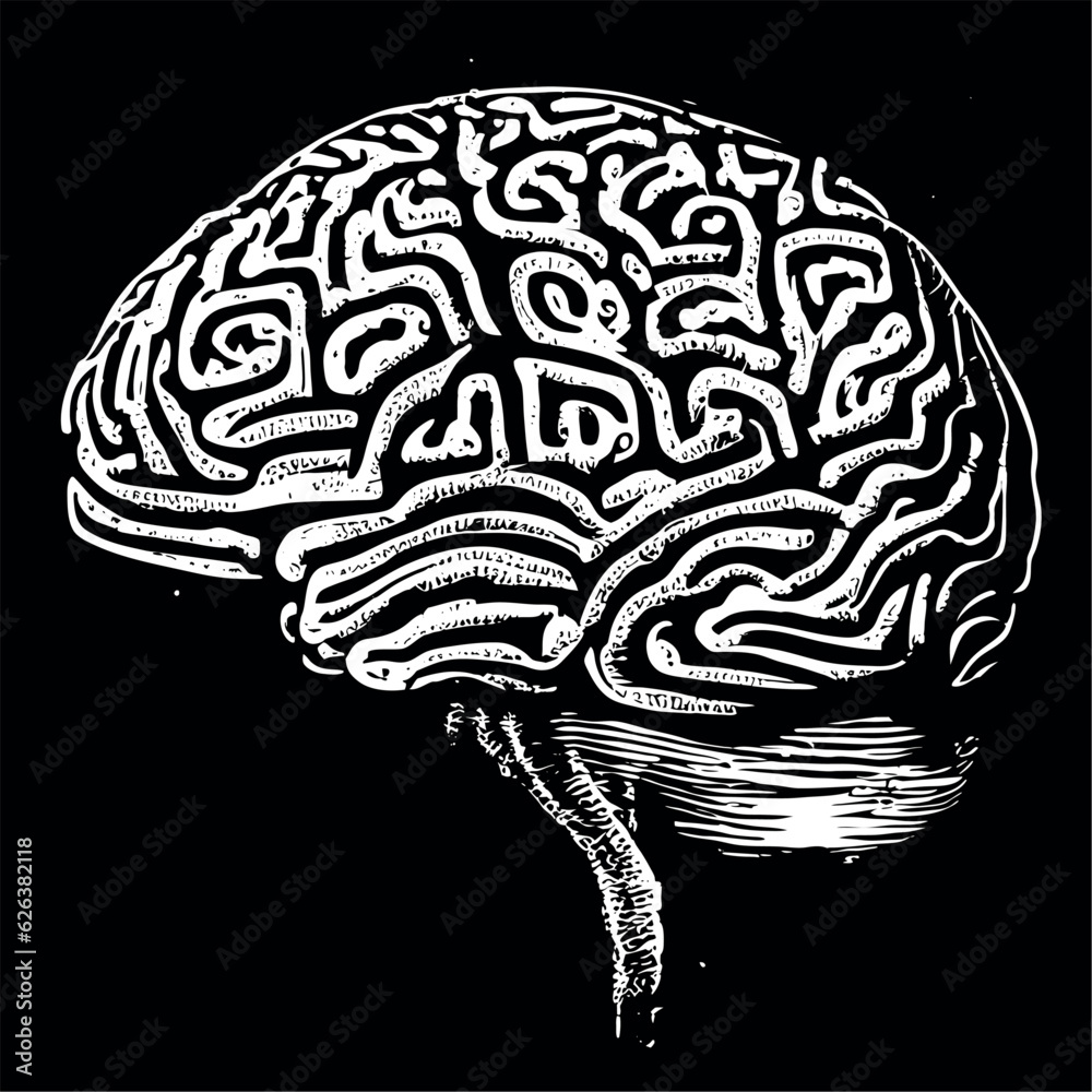 human brain human brain
