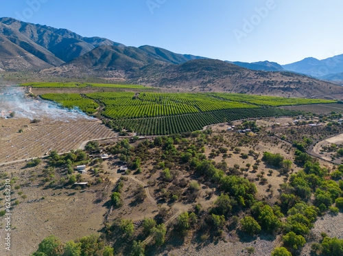 Aerial view of citriculture in Petorca in Chile, South America - plantation of citrus fruits photo