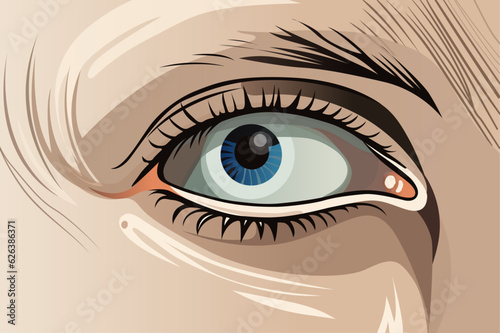 Eye closeup vector - Illustration of human eye with high details and flat colours