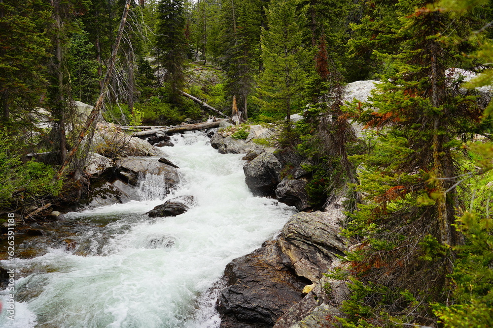 Fototapeta premium Landscape of Grand Teton National Park in early summer, Wyoming, USA 