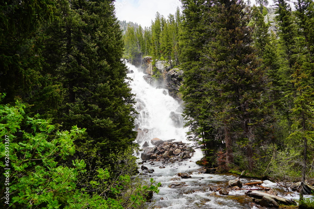 Landscape of Grand Teton National Park in early summer, Wyoming, USA	