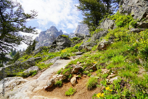 Hiking trail at Grand Teton National Park in early summer, Wyoming, USA
