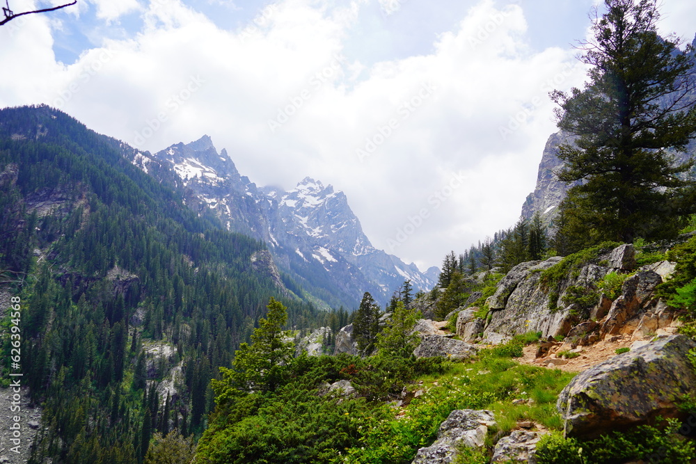 Landscape of Grand Teton National Park in early summer, Wyoming, USA Landscape of Grand Teton National Park in early summer, Wyoming, USA