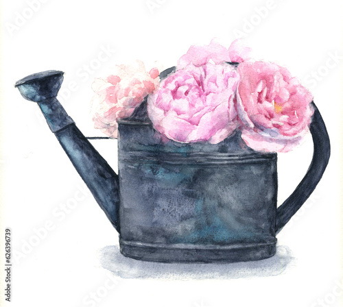 Watercolor drawing peons in the watering can isolated (ID: 626396739)