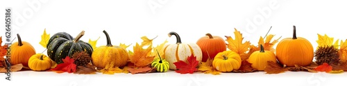 Autumn leaves and gourds, pumpkins patch on white background banner