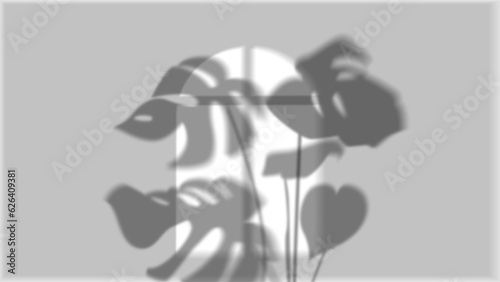 Shadow Of Window And Plant  leaf palm