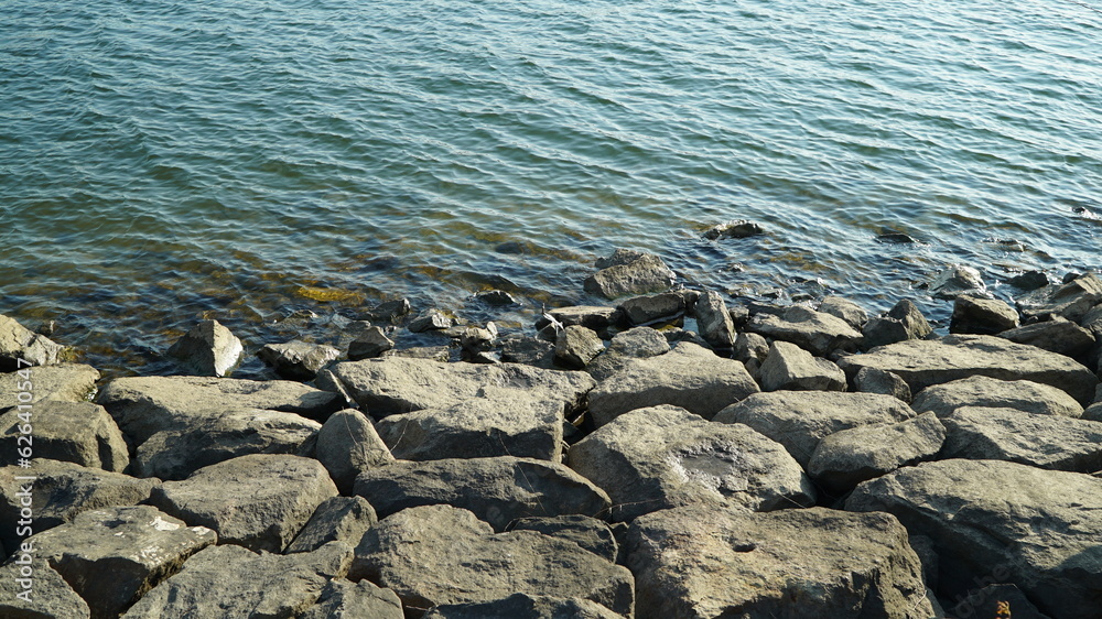 Fototapeta premium Stones piled on the river bank