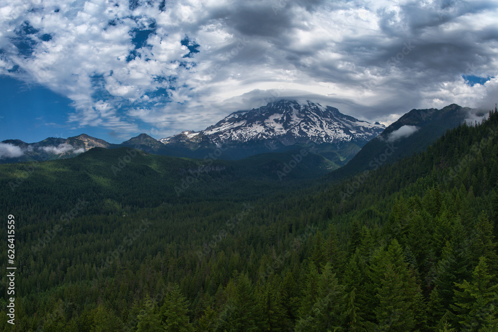 View from over the tree tops of Mt Rainier covered by grayish-white clouds.