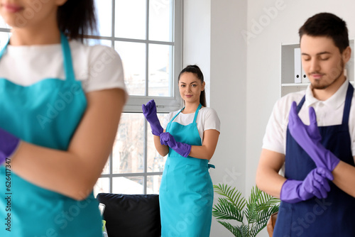 Professional cleaning servi...