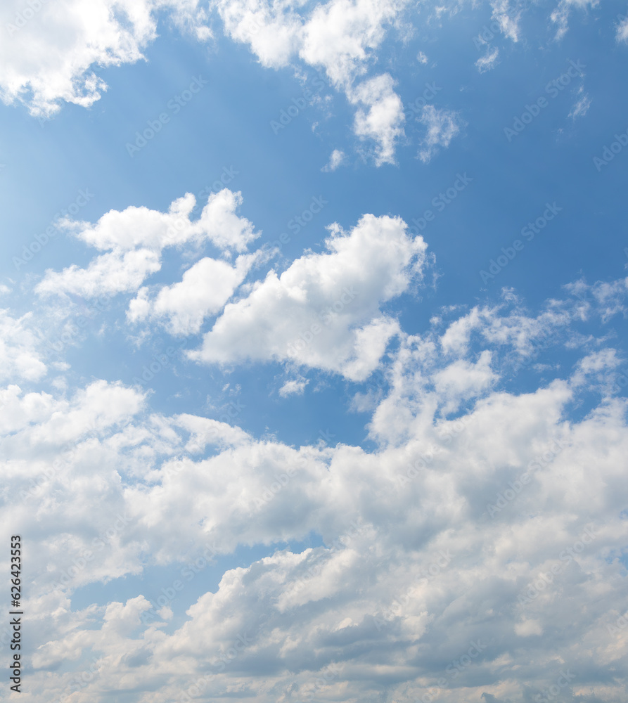 sky replacement looking up at blue sky and sunshine with white puffy clouds in summer sky replacement looking up at blue sky and sunshine with white puffy clouds in summer