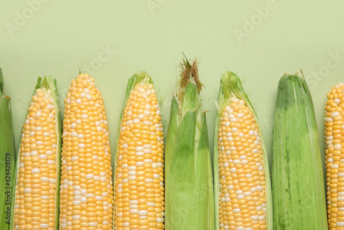 Freshly harvested sweet cor...
