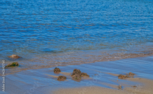 Coral and Sand at Low Tide in Waikiki.