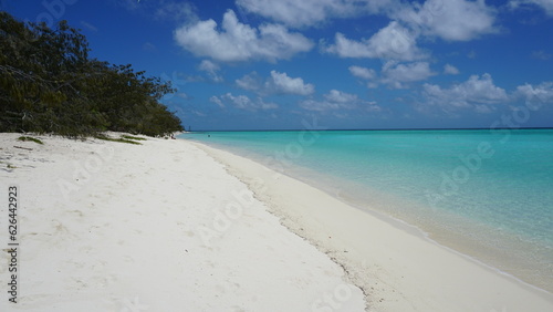 Welcome to Paradise