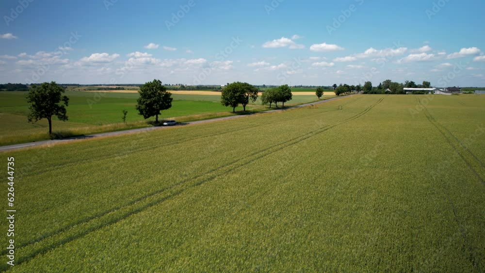 Cultivated Wheat Fields by Countryside Road with Cars Traveling in Summertime Cultivated Wheat Fields by Countryside Road with Cars Traveling in Summertime