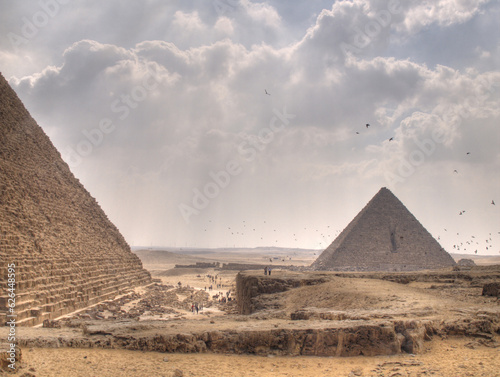Birds take flight around the Pyramids of Giza  Egypt  North Africa.