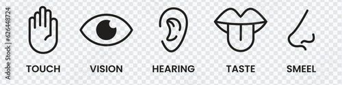 Human sense icons. Five human senses icons. Vision smell hearing touch taste senses filling, Vector illustration eps 10