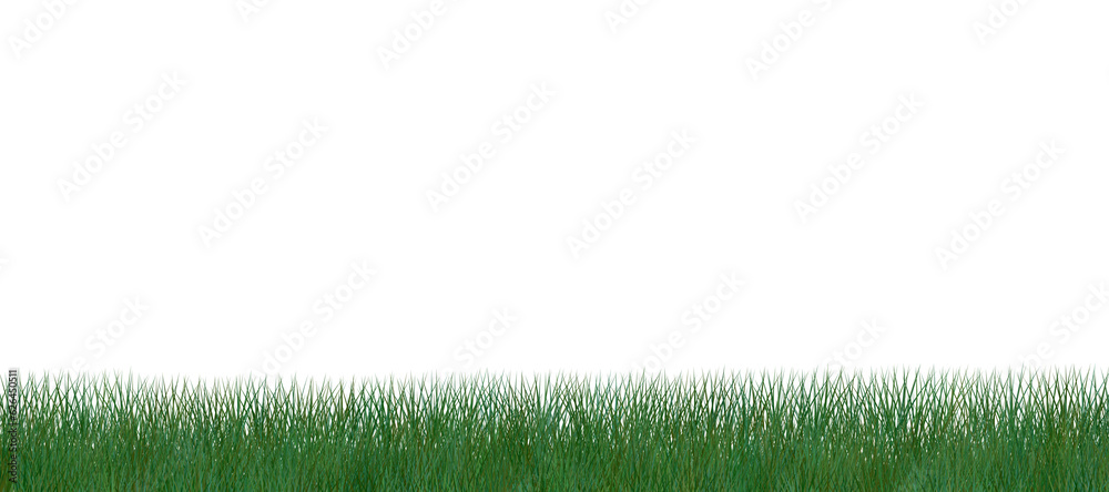 Digital png illustration of strip of green grass on transparent background Digital png illustration of strip of green grass on transparent background