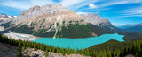 Peyto Lake panorama, Banff national park, Alberta, Canada.	