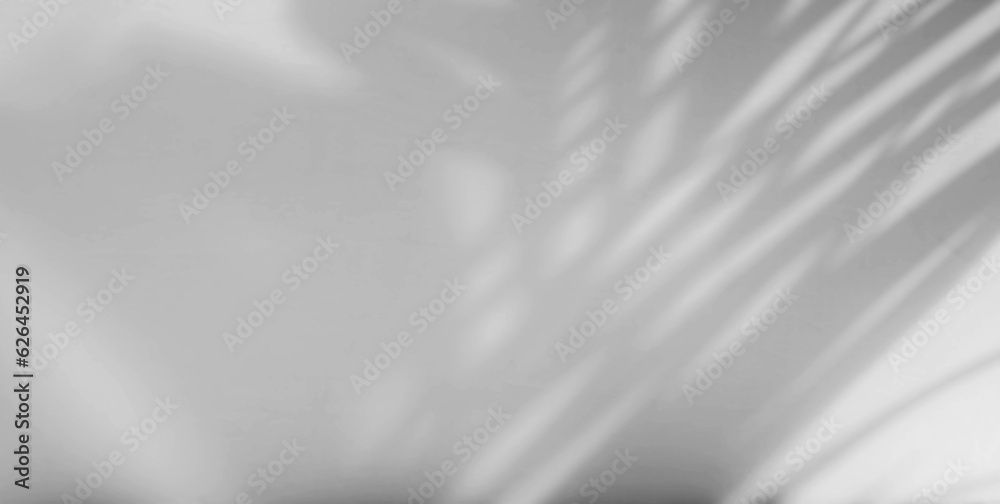 Obraz premium abstract leaf shadow texture