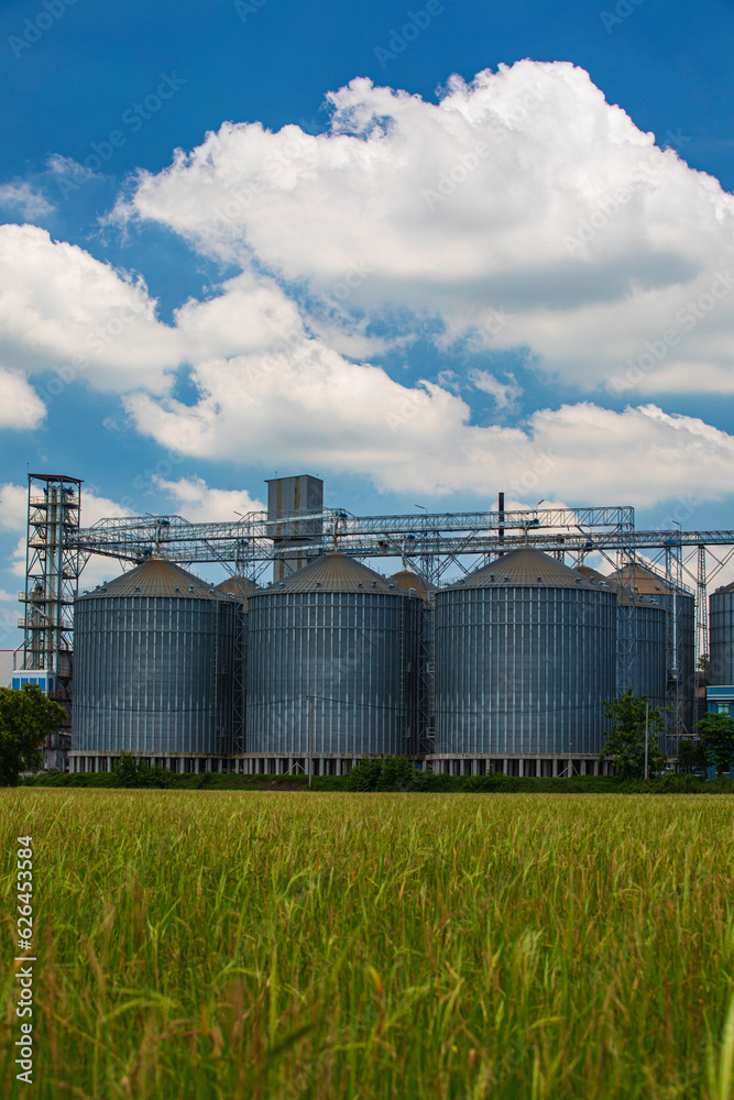 Plant for the drying and storage stainless silo grain. Rice plant in the middle of fields.