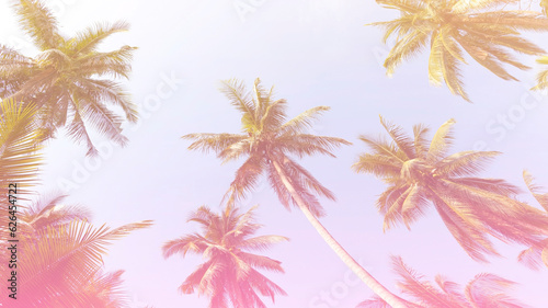 Summer with colorful theme as palm trees background as texture frame background © SASITHORN