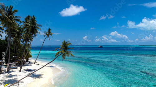 Summer palm tree and Tropical beach with ocean blue background