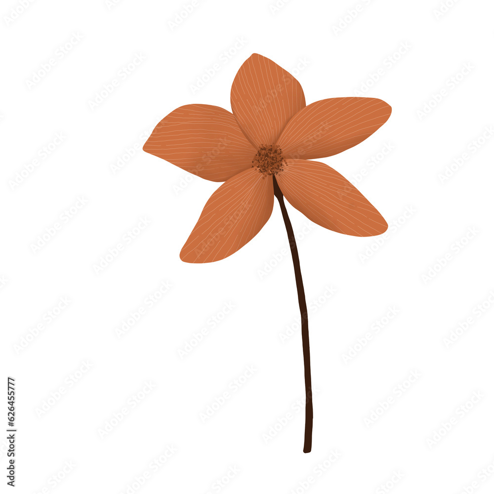 Flower Flower