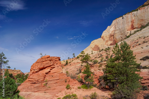 Scenic view of Cross beds of aeolian sandstone rock formations on Zion National Park Canyon Overlook hiking trail, Utah, USA. Uninhabited canyon near Mount Carmel road with majestic unique landscape