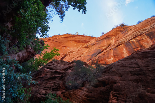 Scenic view of Cross beds of aeolian sandstone rock formations on Zion National Park Canyon Overlook hiking trail, Utah, USA.  Uninhabited canyon near Mount Carmel road with majestic unique landscape photo