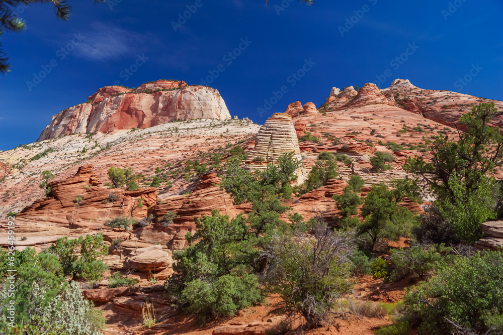 Scenic view of Cross beds of aeolian sandstone rock formations on Zion National Park Canyon Overlook hiking trail, Utah, USA.  Uninhabited canyon near Mount Carmel road with majestic unique landscape