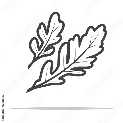 Arugula outline icon vector isolated