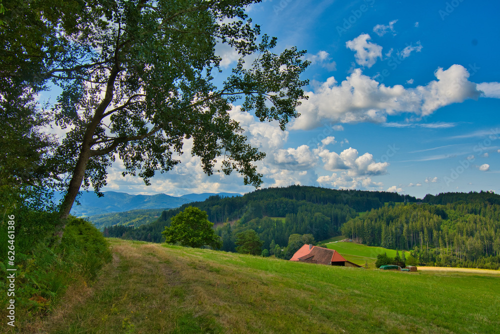Landschaft bei Biederbach im mittleren Schwarzwald