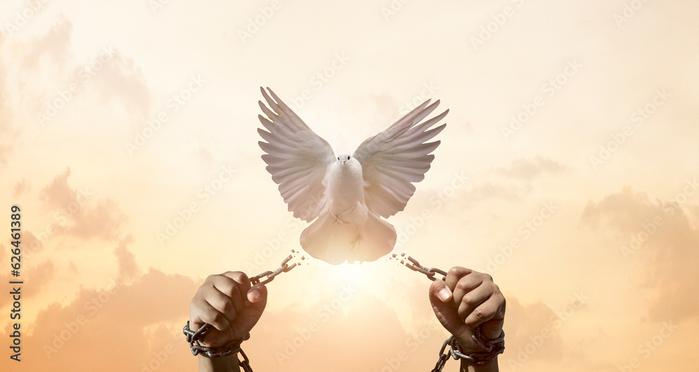 chains on hand that transform into peace birds. freedom and charge concept - obrazy, fototapety, plakaty 
