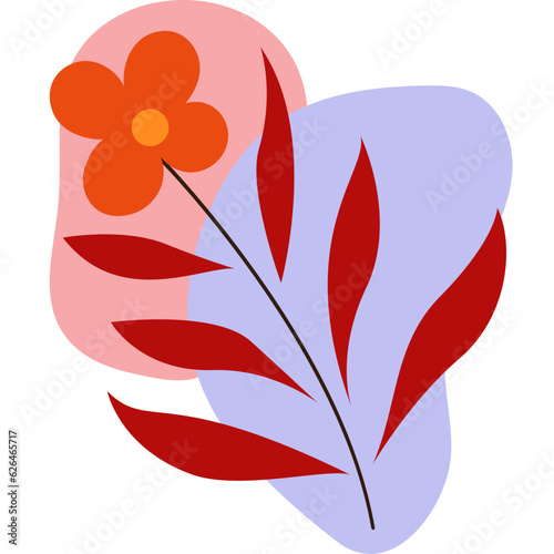 Beauty Flower Shape