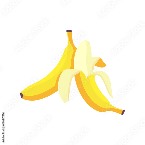 Vector illustration of banana. Juicy banana illustration in section