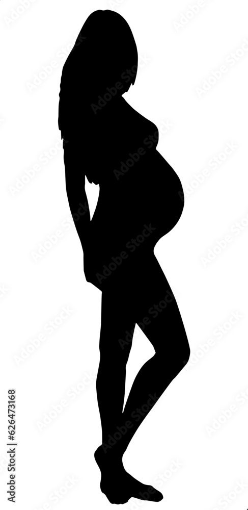silhouette of a pregnant girl vector illustration