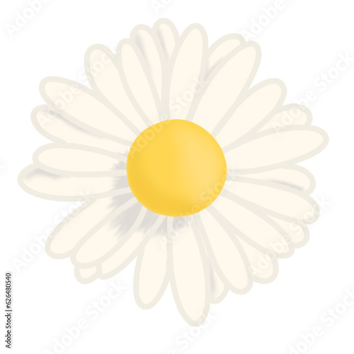 Daisy