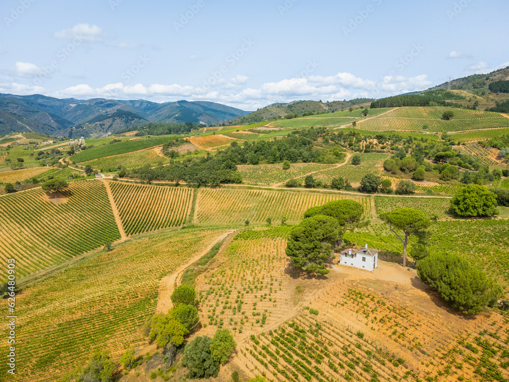 A Bird's-Eye Perspective: Summer Splendor in Villafranca del Bierzo with Vineyards and Countryside, Spain