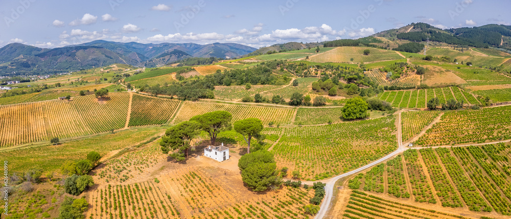 A Bird's-Eye Perspective: Summer Splendor in Villafranca del Bierzo with Vineyards and Countryside, Spain